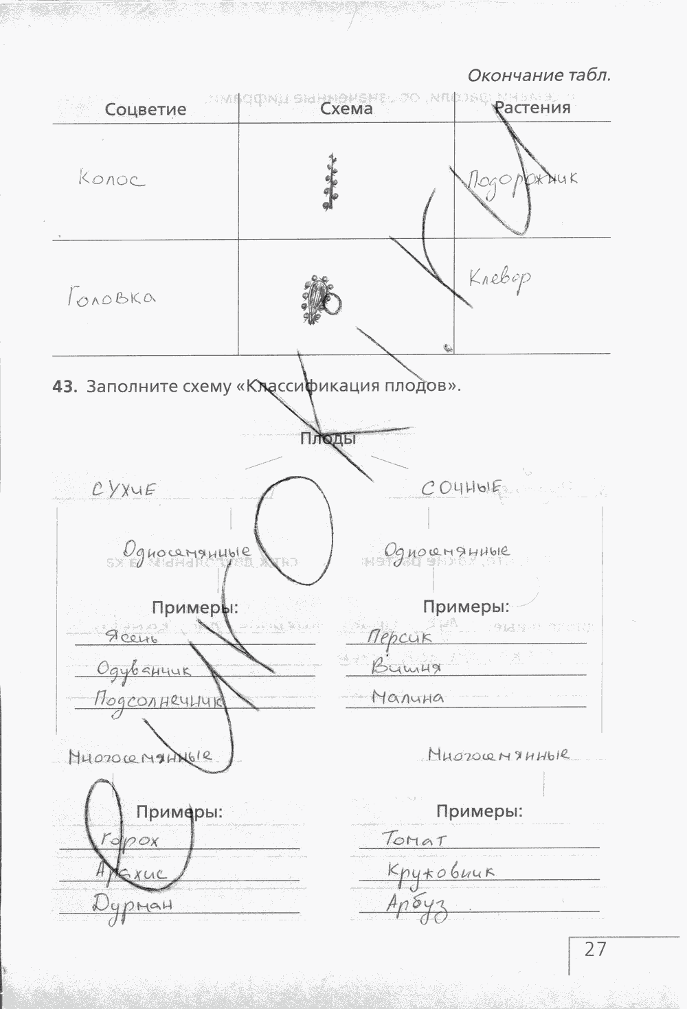 Рабочая тетрадь (с белочкой), 6 класс, Сонин Н.И., 2014, задание: стр. 27