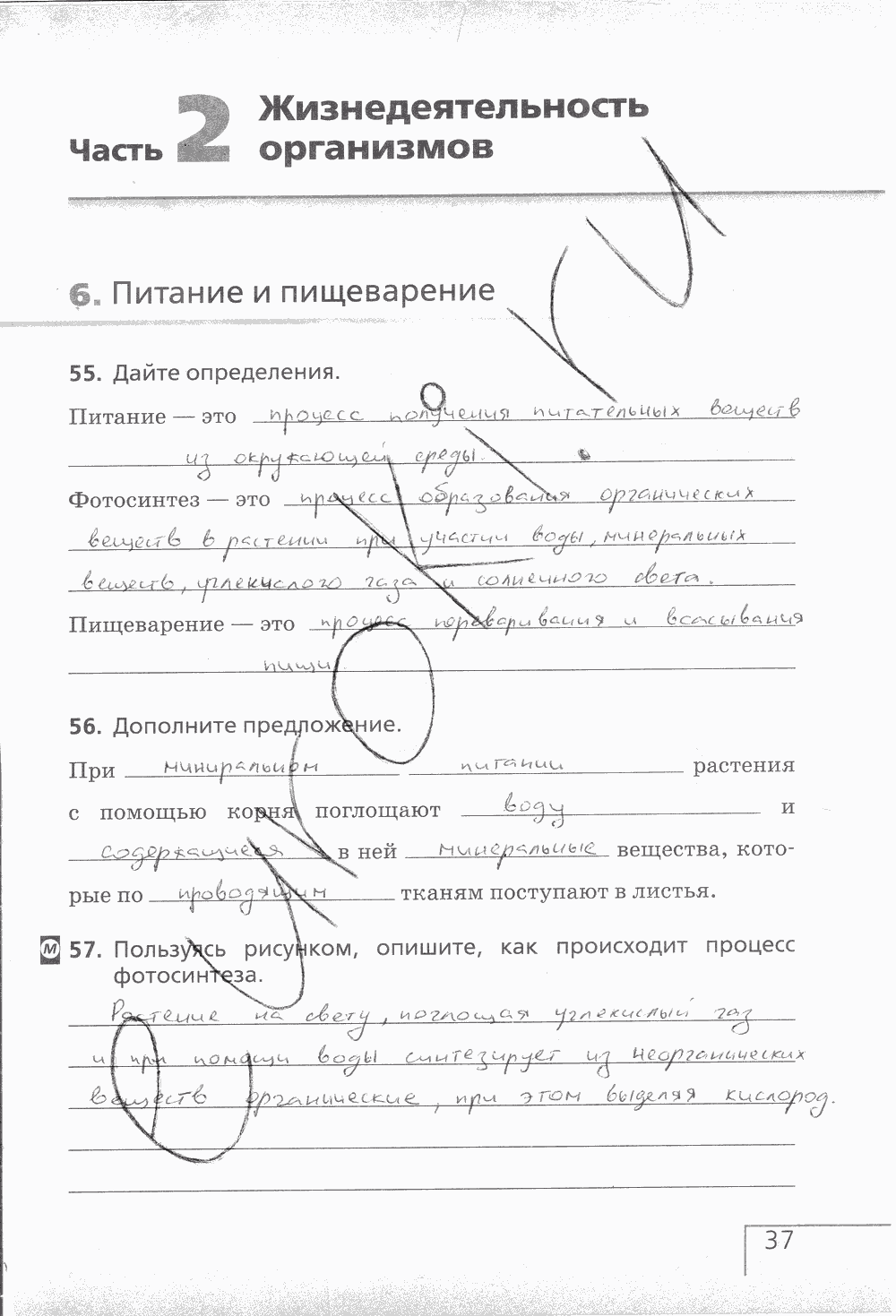 Рабочая тетрадь (с белочкой), 6 класс, Сонин Н.И., 2014, задание: стр. 37