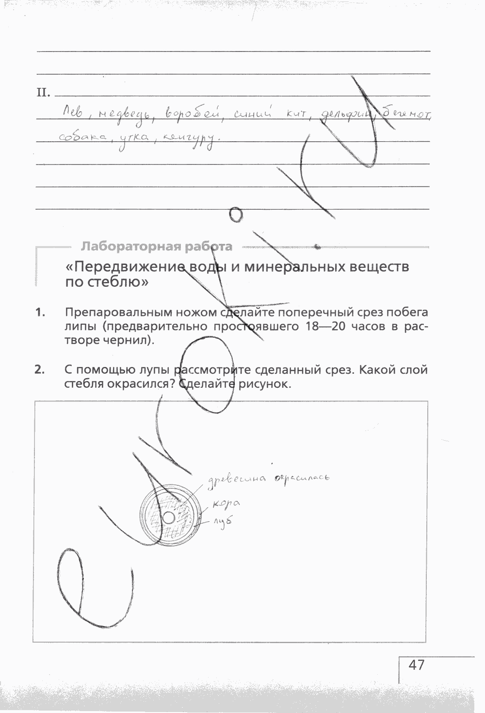 Рабочая тетрадь (с белочкой), 6 класс, Сонин Н.И., 2014, задание: стр. 47