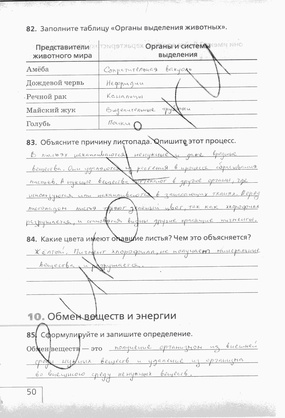 Рабочая тетрадь (с белочкой), 6 класс, Сонин Н.И., 2014, задание: стр. 50