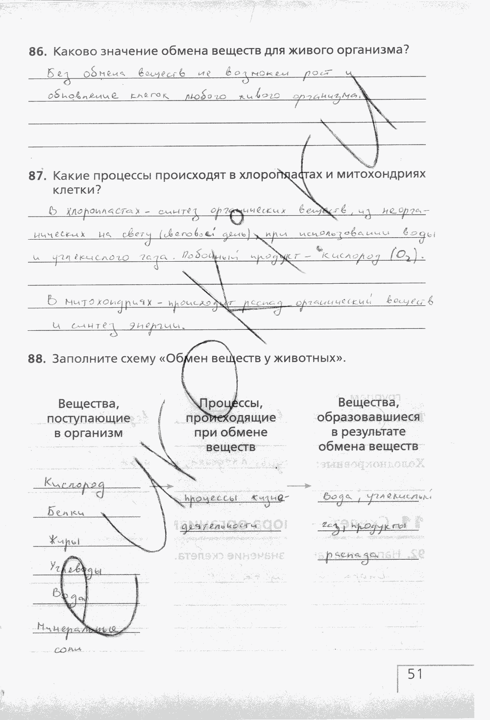 Рабочая тетрадь (с белочкой), 6 класс, Сонин Н.И., 2014, задание: стр. 51