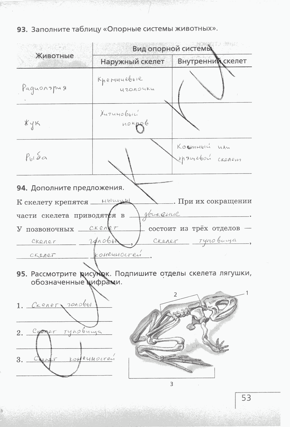 Рабочая тетрадь (с белочкой), 6 класс, Сонин Н.И., 2014, задание: стр. 53