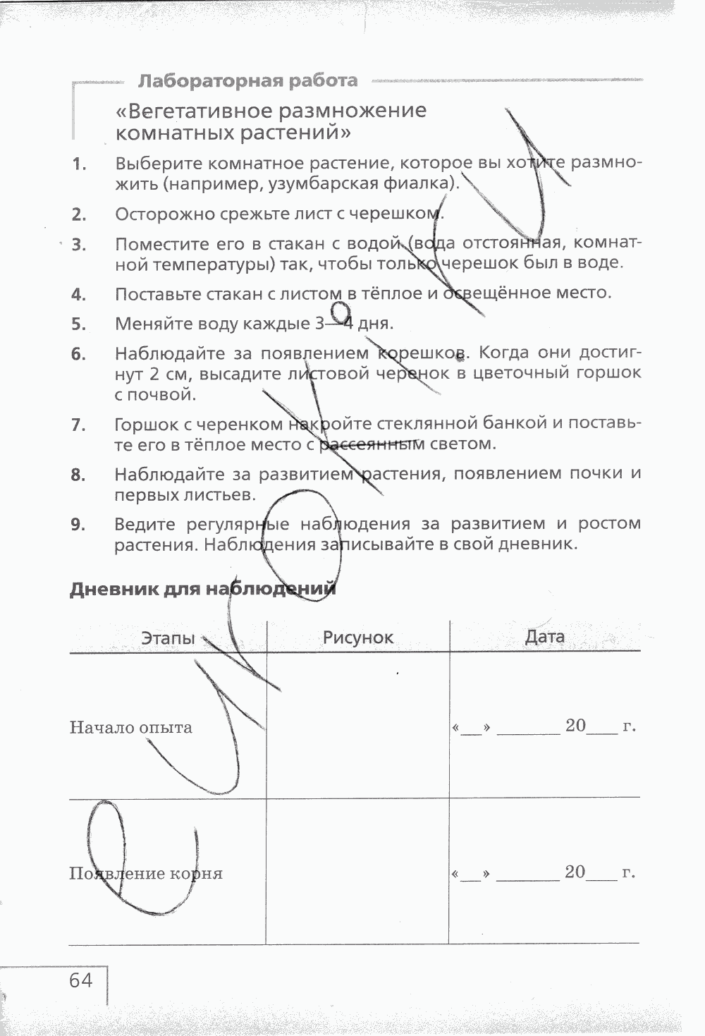 Рабочая тетрадь (с белочкой), 6 класс, Сонин Н.И., 2014, задание: стр. 64