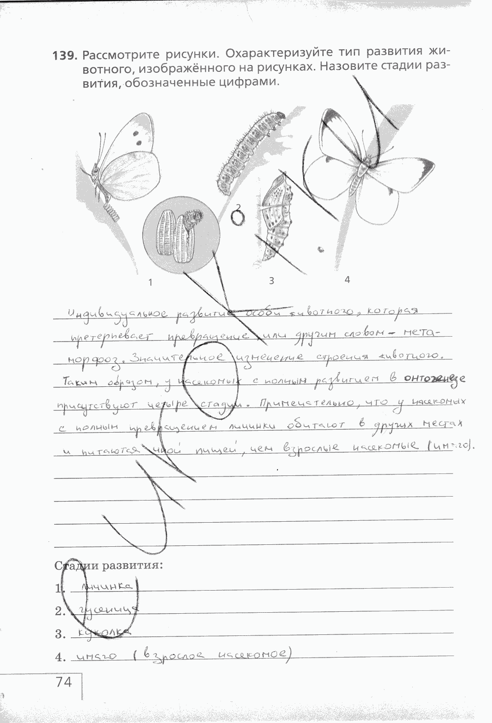 Рабочая тетрадь (с белочкой), 6 класс, Сонин Н.И., 2014, задание: стр. 74