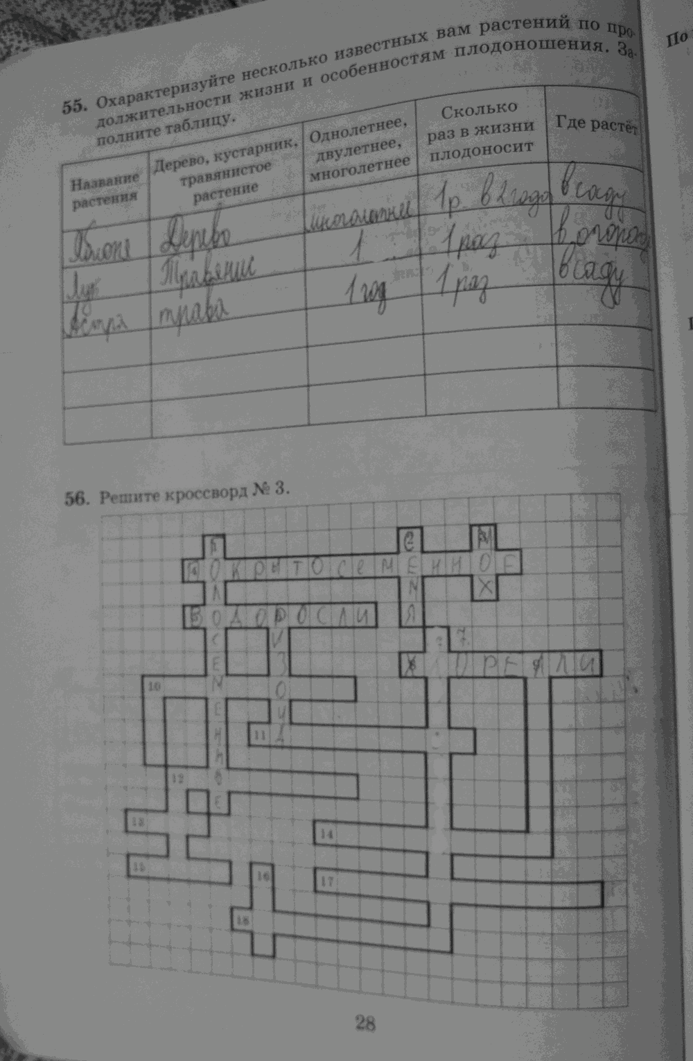 Рабочая тетрадь. Бактерии, грибы, растения, 6 класс, Пасечник, Снисаренко, 2013 - 2016, задача: стр.28