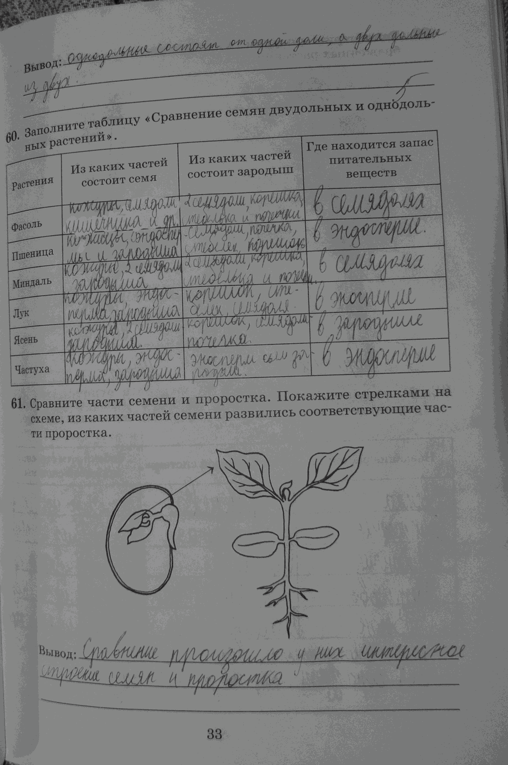 Рабочая тетрадь. Бактерии, грибы, растения, 6 класс, Пасечник, Снисаренко, 2013 - 2016, задача: стр.33