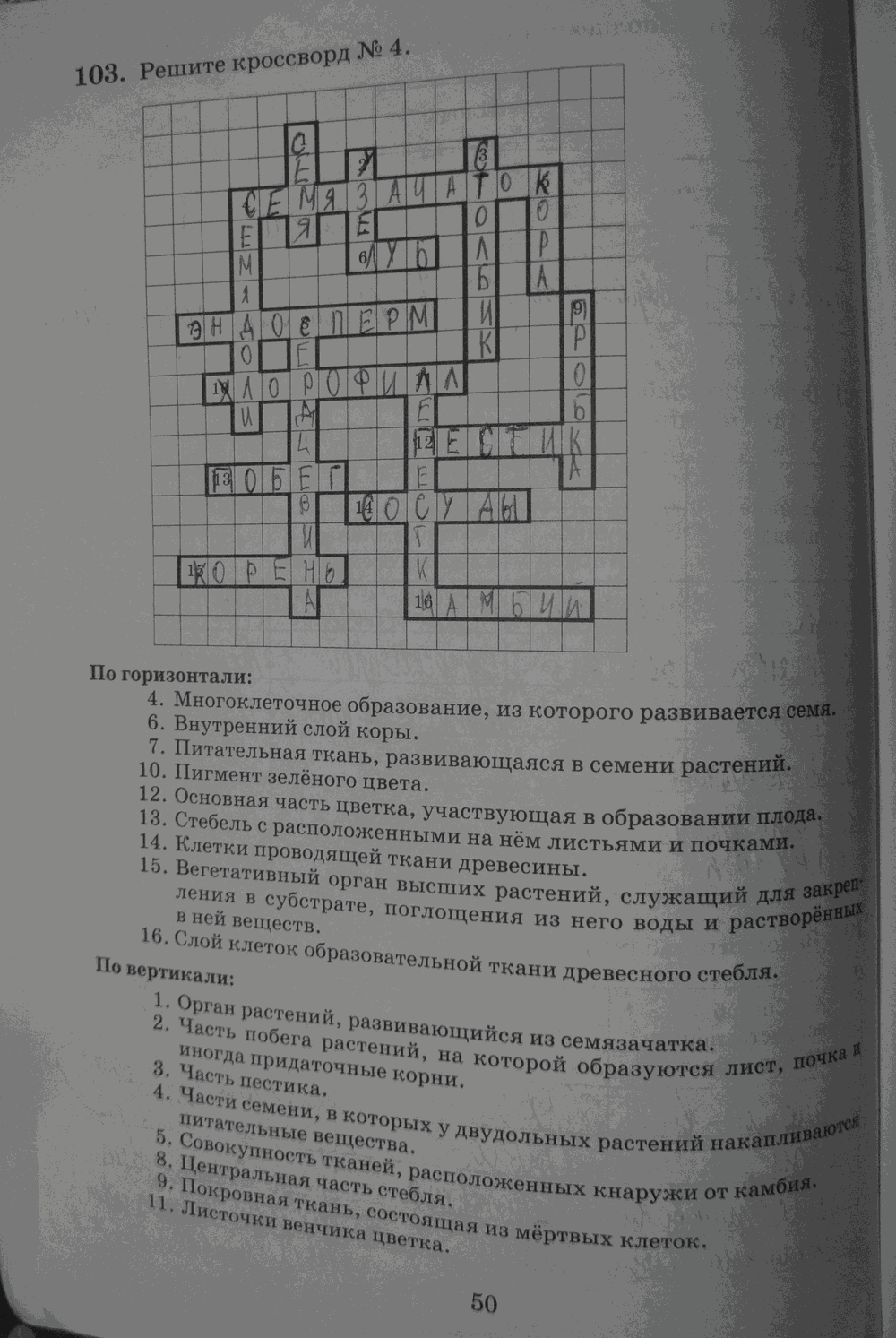 Рабочая тетрадь. Бактерии, грибы, растения, 6 класс, Пасечник, Снисаренко, 2013 - 2016, задача: стр.50