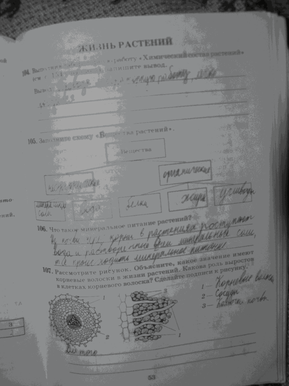 Рабочая тетрадь. Бактерии, грибы, растения, 6 класс, Пасечник, Снисаренко, 2013 - 2016, задача: стр.53