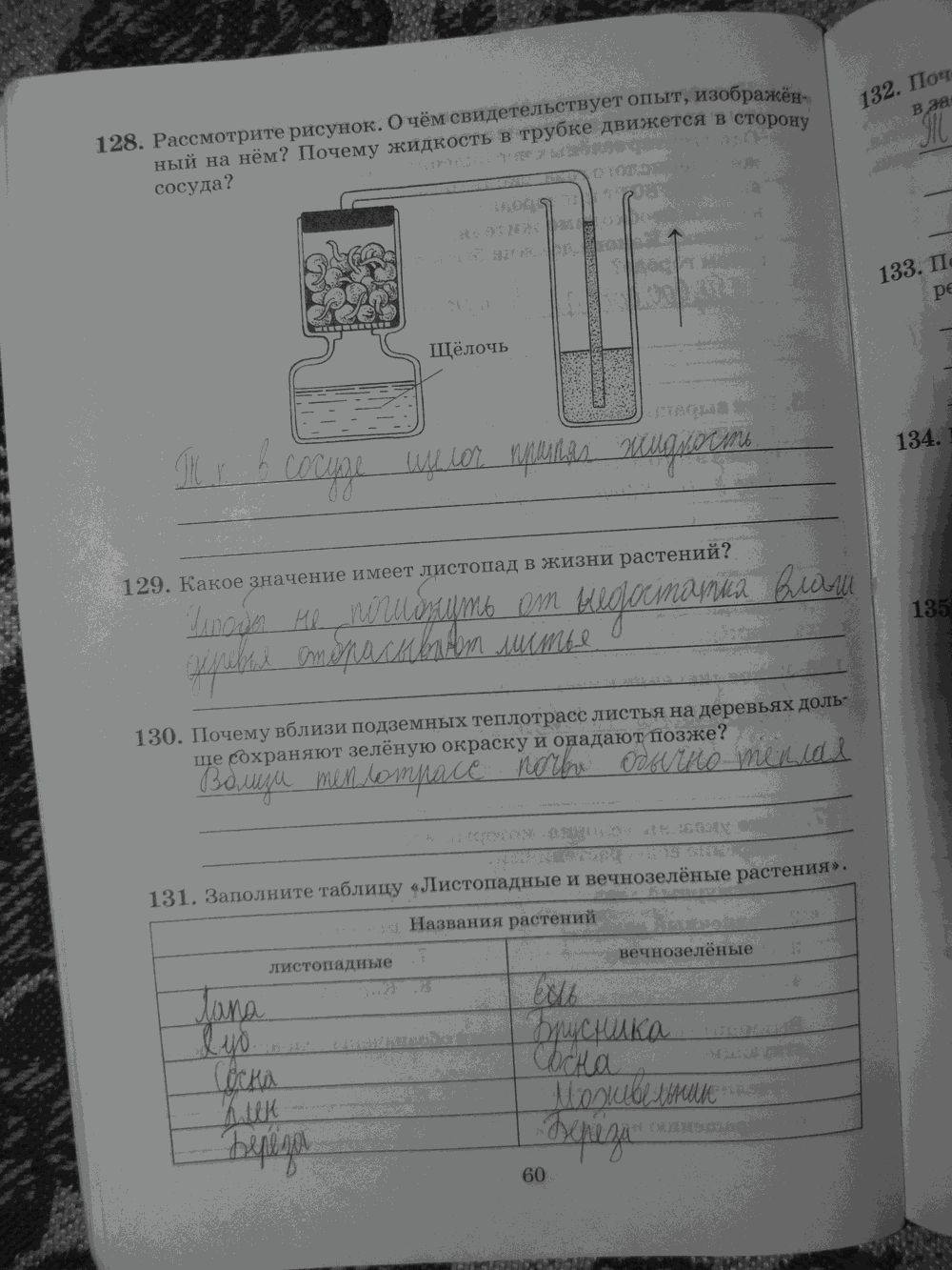 Рабочая тетрадь. Бактерии, грибы, растения, 6 класс, Пасечник, Снисаренко, 2013 - 2016, задача: стр.60