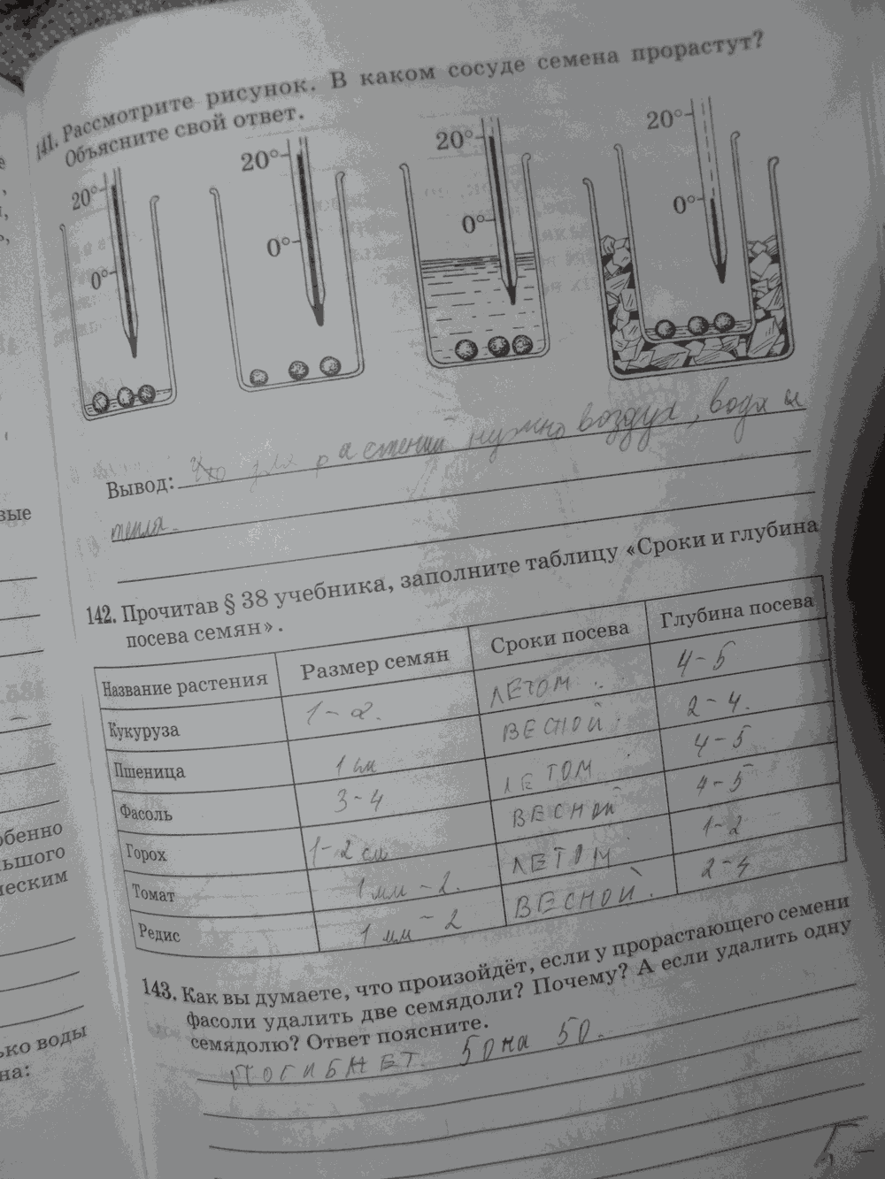 Рабочая тетрадь. Бактерии, грибы, растения, 6 класс, Пасечник, Снисаренко, 2013 - 2016, задача: стр.63