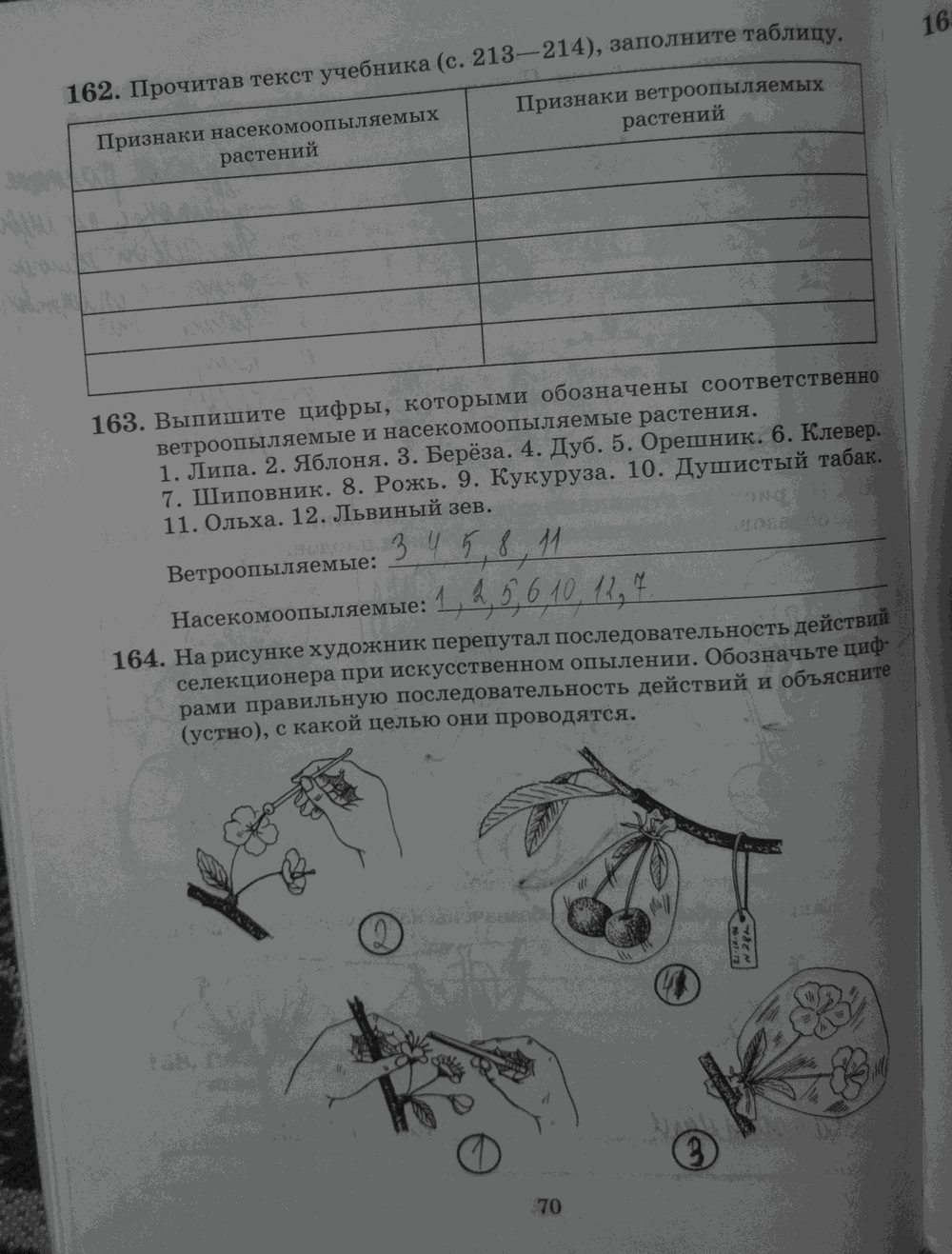 Рабочая тетрадь. Бактерии, грибы, растения, 6 класс, Пасечник, Снисаренко, 2013 - 2016, задача: стр.70