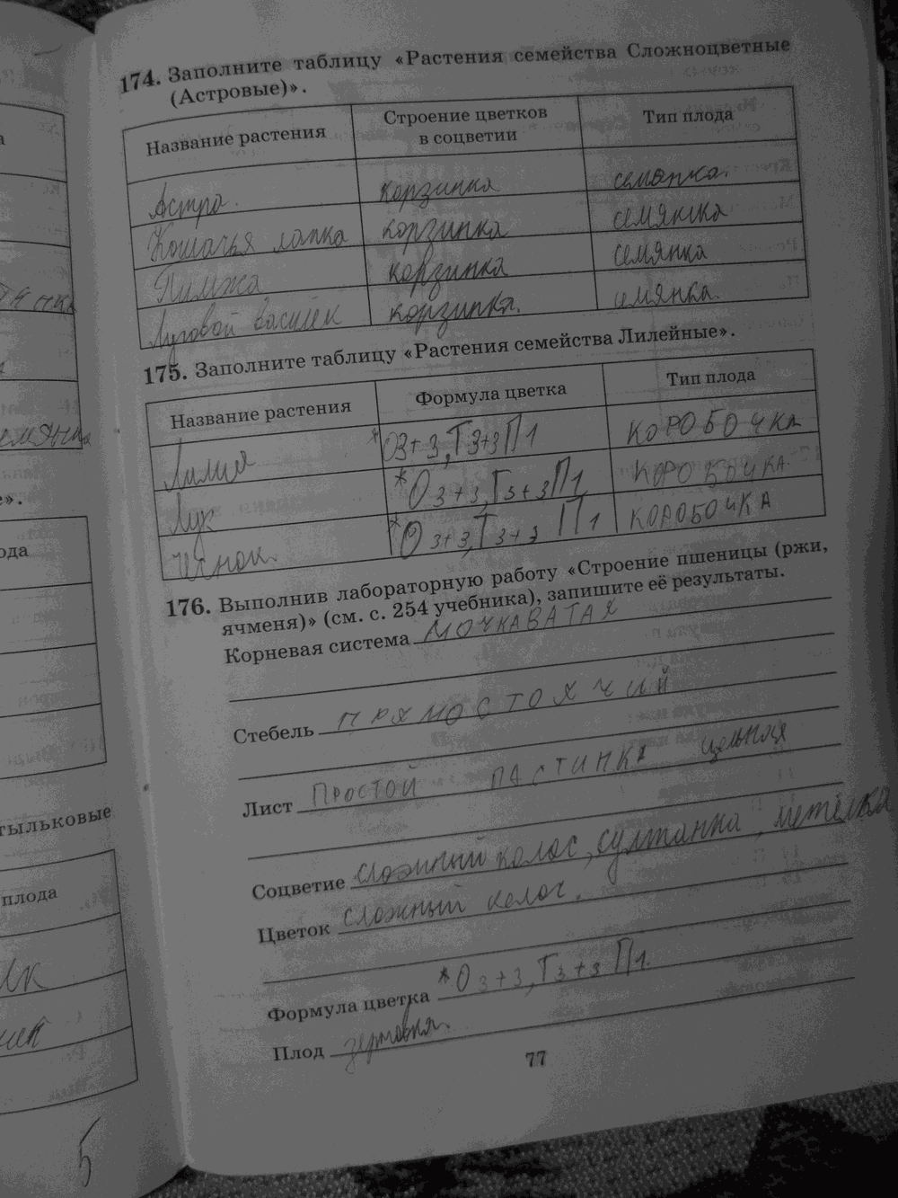 Рабочая тетрадь. Бактерии, грибы, растения, 6 класс, Пасечник, Снисаренко, 2013 - 2016, задача: стр.77