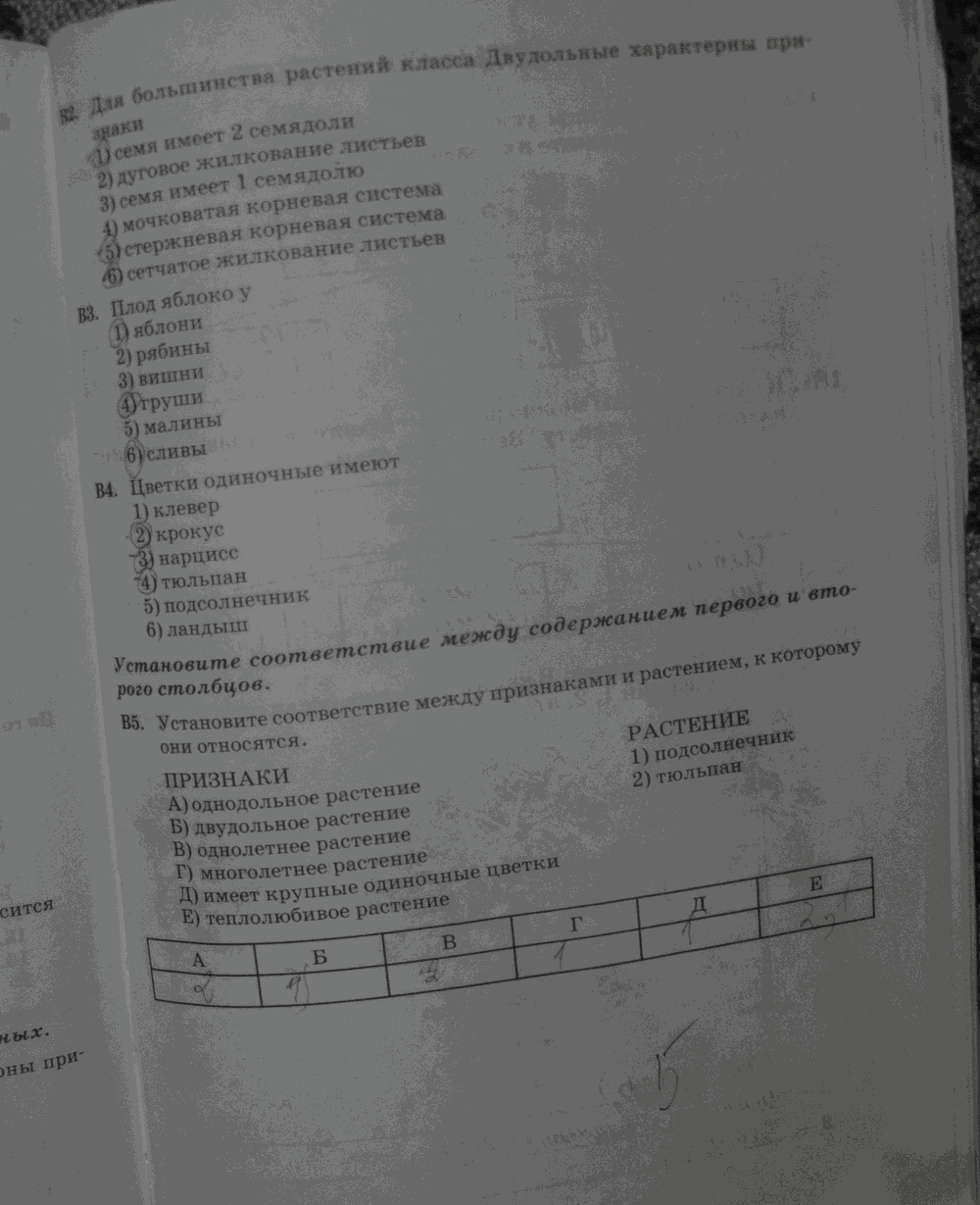 Рабочая тетрадь. Бактерии, грибы, растения, 6 класс, Пасечник, Снисаренко, 2013 - 2016, задача: стр.81