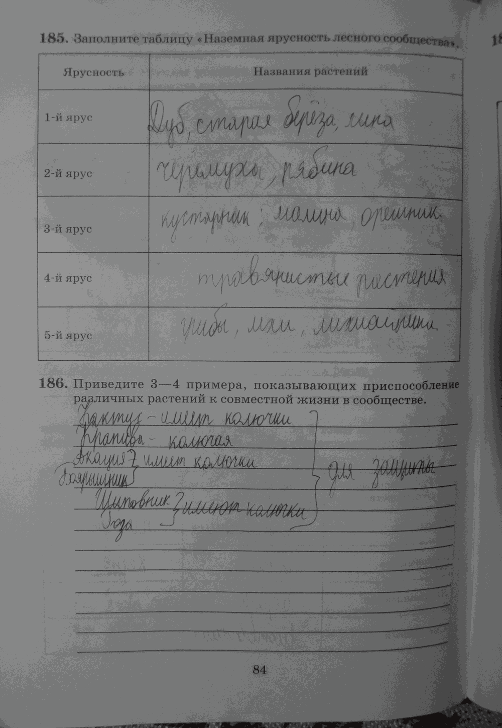 Рабочая тетрадь. Бактерии, грибы, растения, 6 класс, Пасечник, Снисаренко, 2013 - 2016, задача: стр.84