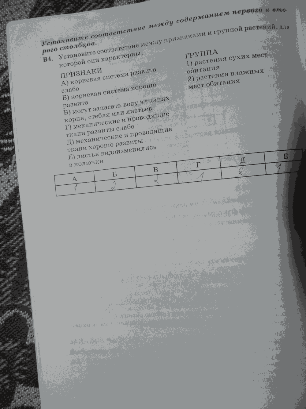 Рабочая тетрадь. Бактерии, грибы, растения, 6 класс, Пасечник, Снисаренко, 2013 - 2016, задача: стр.88