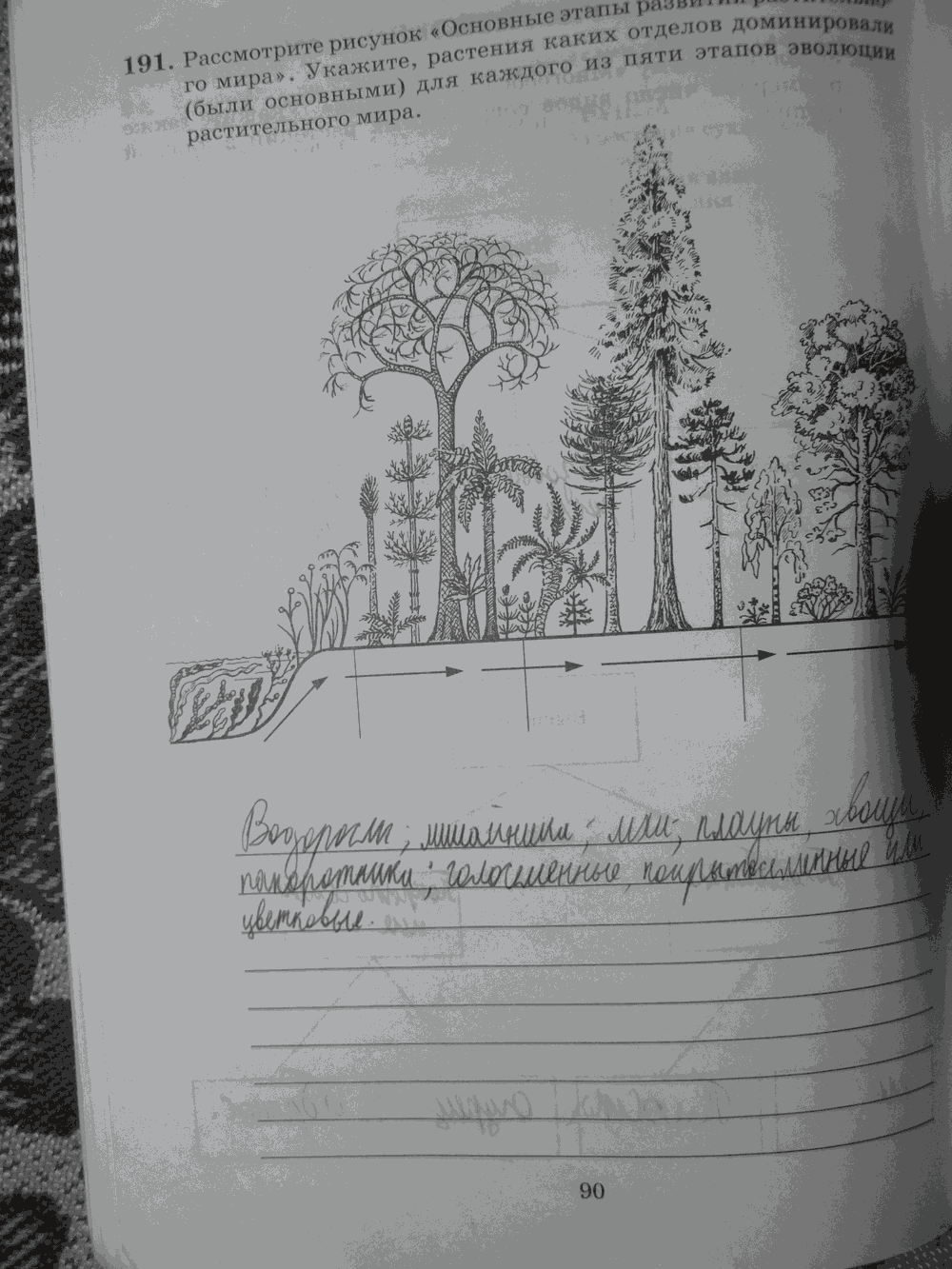 Рабочая тетрадь. Бактерии, грибы, растения, 6 класс, Пасечник, Снисаренко, 2013 - 2016, задача: стр.90