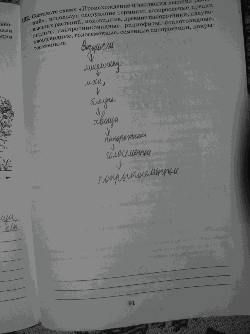 Рабочая тетрадь. Бактерии, грибы, растения, 6 класс, Пасечник, Снисаренко, 2013 - 2016, задача: стр.91