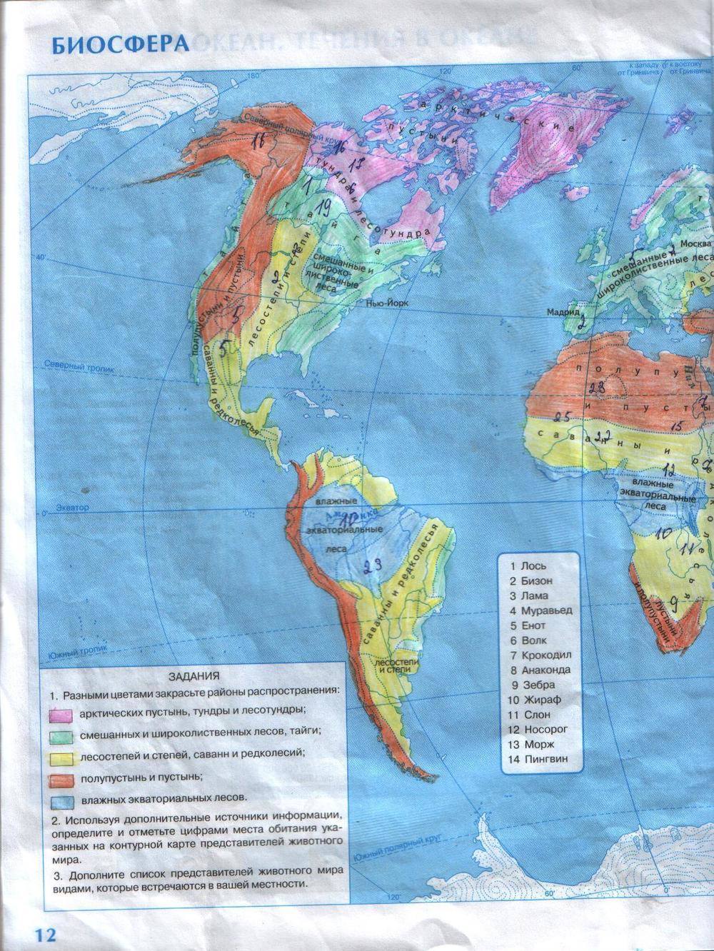 Жизнь на суше география 6 класс. Карта по географии Биосфера. География 6 класс контурные карты рельеф суши. Карта география рельеф суши 6. География контурная карта рельеф суши.