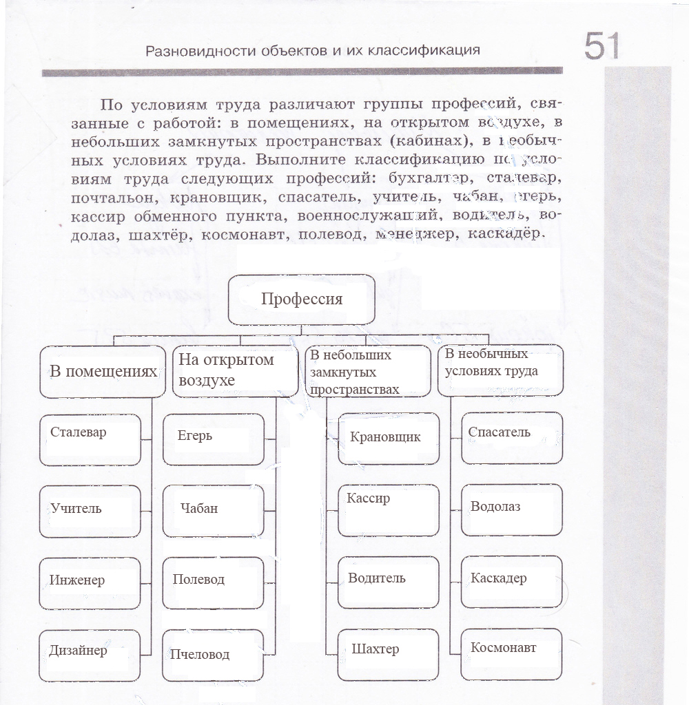 Рабочая тетрадь, 6 класс, Босова, 2015, §4. «Разновидности объектов и их классификация» (задания 48 - 58). Задание 55