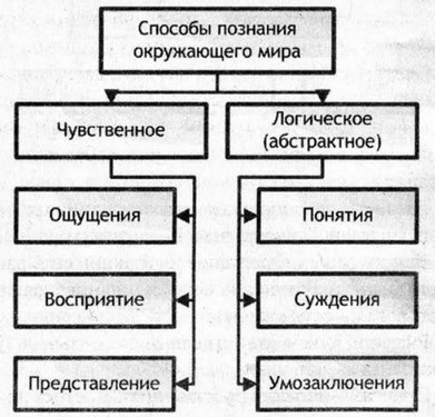 Рабочая тетрадь, 6 класс, Босова, 2015, §7. «Как мы познаём окружающий мир» (задания 75 - 85). Задание 76