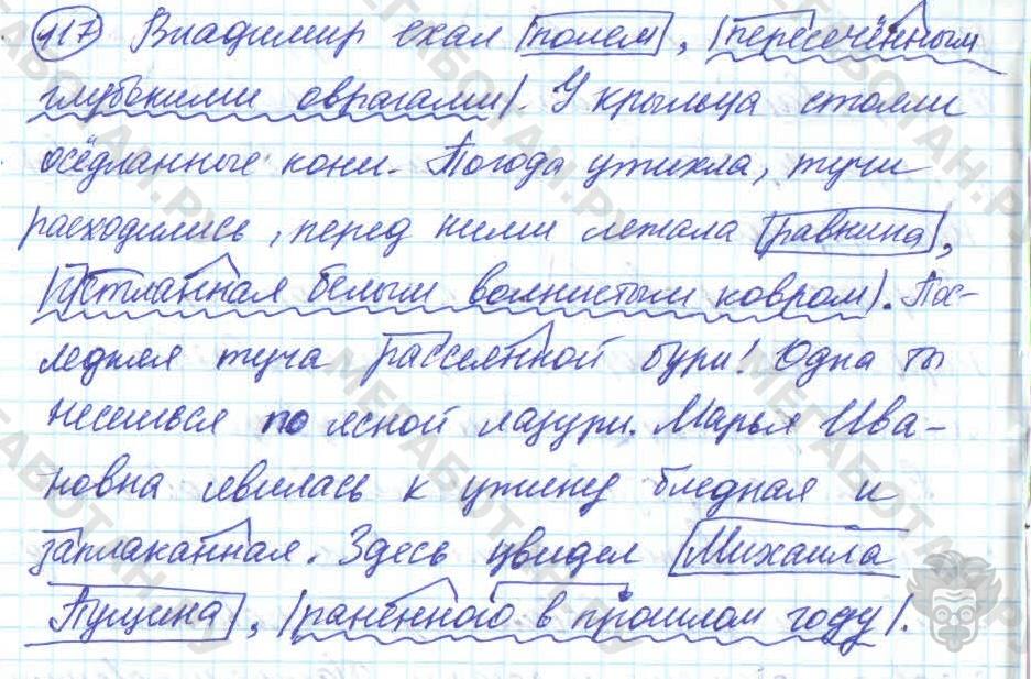 Русский язык, 7 класс, Баранов, 2007 - 2011, задание: 117