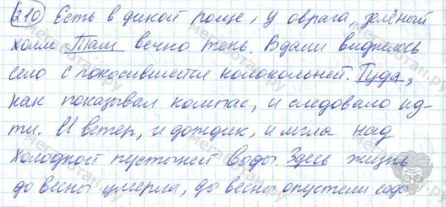 Русский язык, 7 класс, Баранов, 2007 - 2011, задание: 210