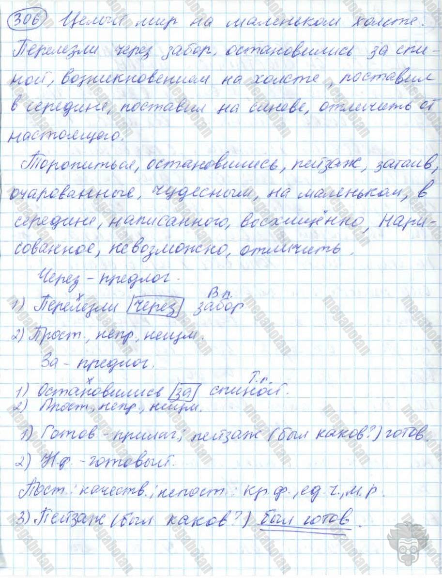 Русский язык, 7 класс, Баранов, 2007 - 2011, задание: 306