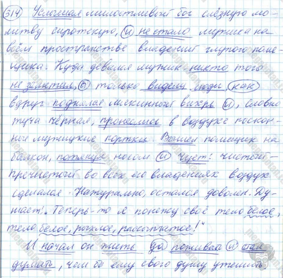 Русский язык, 7 класс, Баранов, 2007 - 2011, задание: 314