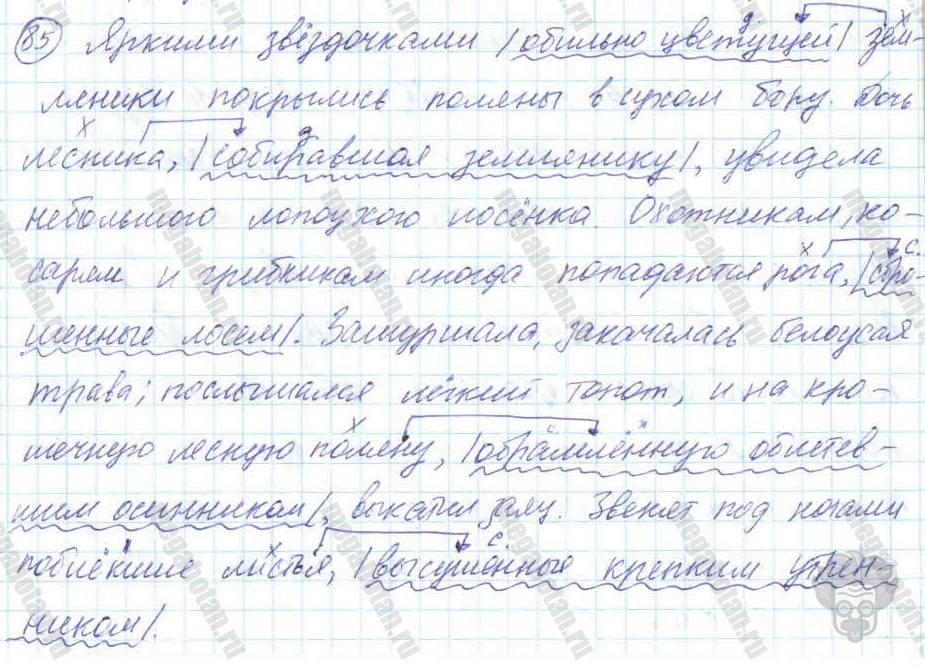 Русский язык, 7 класс, Баранов, 2007 - 2011, задание: 85