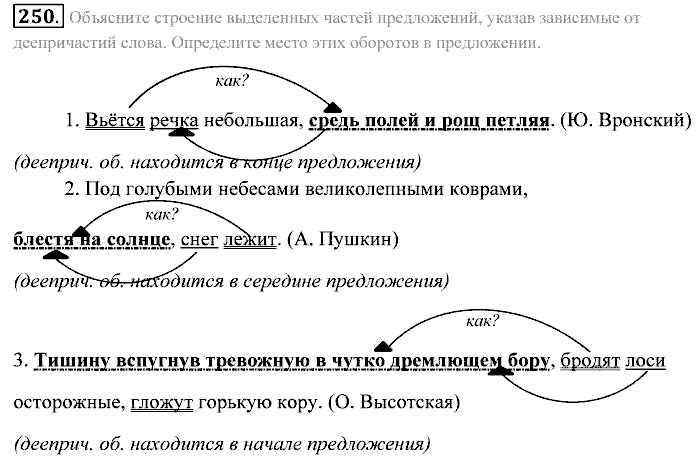 Практика, 7 класс, Пименова, Еремеева, 2011, задание: 250