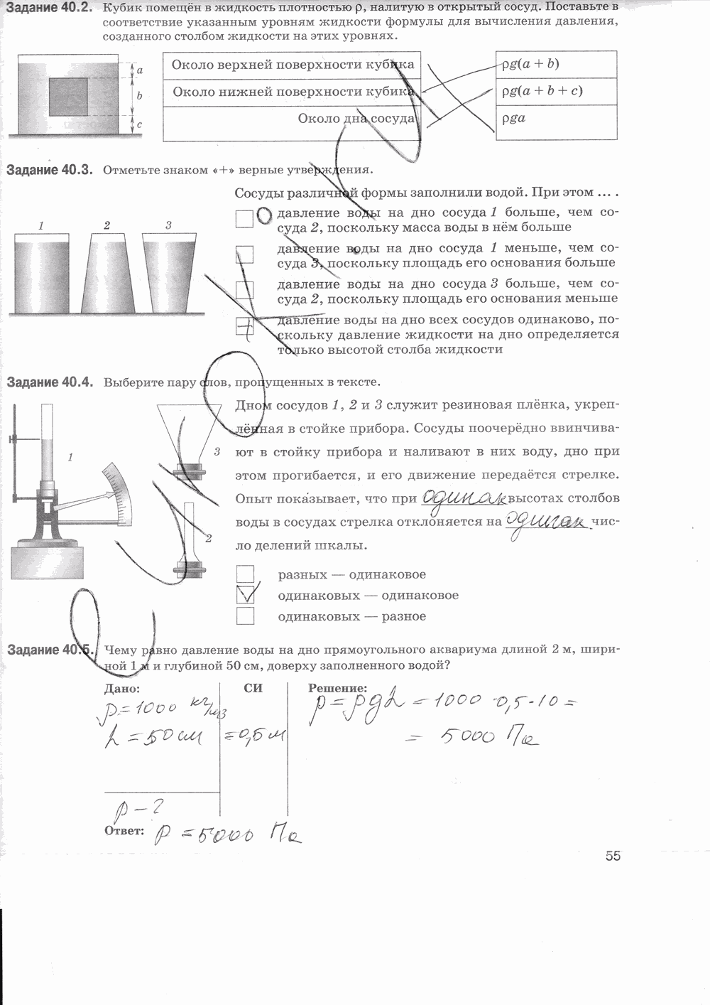 Рабочая тетрадь, 7 класс, Т.А. Ханнанова, Н.К. Ханнанов, 2013, задание: стр. 55