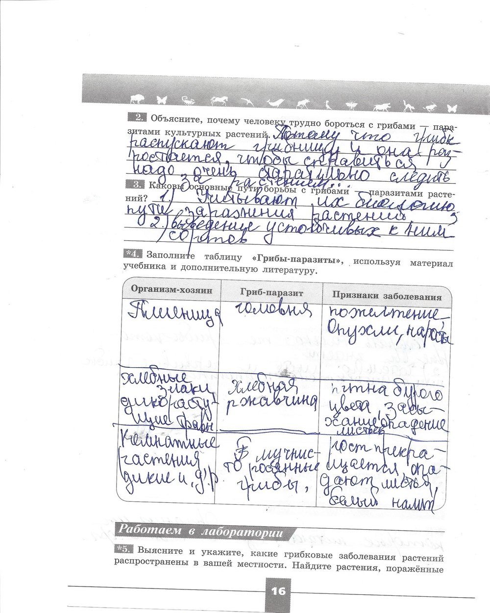 Рабочая тетрадь. Серия линия жизни, 7 класс, Пасечник В.В., Швецов Г.Г., 2015, задание: стр. 16