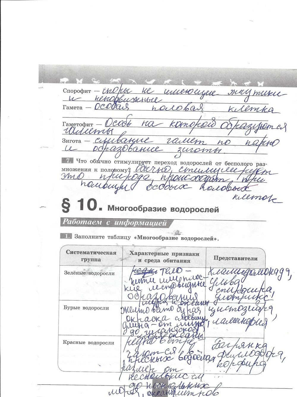 Рабочая тетрадь. Серия линия жизни, 7 класс, Пасечник В.В., Швецов Г.Г., 2015, задание: стр. 23
