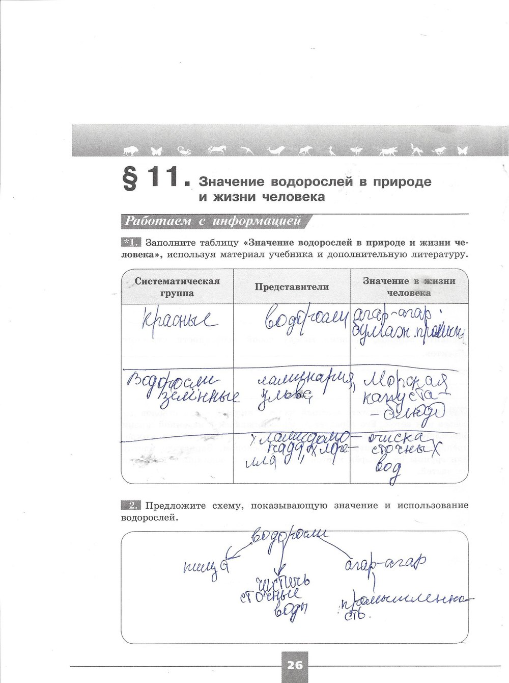 Рабочая тетрадь. Серия линия жизни, 7 класс, Пасечник В.В., Швецов Г.Г., 2015, задание: стр. 26