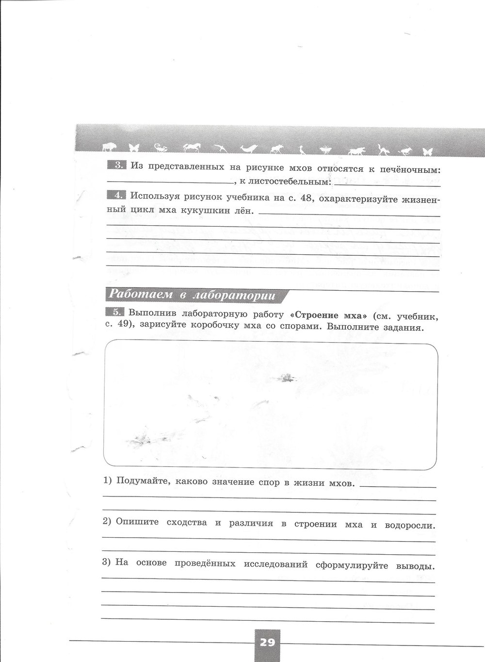 Рабочая тетрадь. Серия линия жизни, 7 класс, Пасечник В.В., Швецов Г.Г., 2015, задание: стр. 29