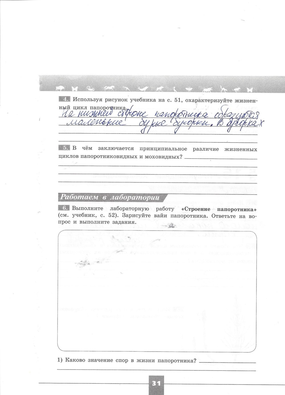 Рабочая тетрадь. Серия линия жизни, 7 класс, Пасечник В.В., Швецов Г.Г., 2015, задание: стр. 31