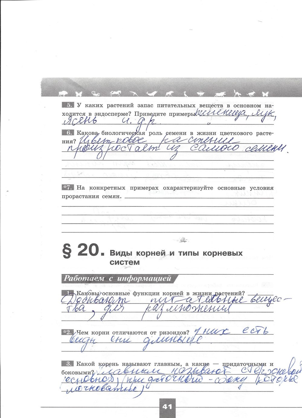 Рабочая тетрадь. Серия линия жизни, 7 класс, Пасечник В.В., Швецов Г.Г., 2015, задание: стр. 41