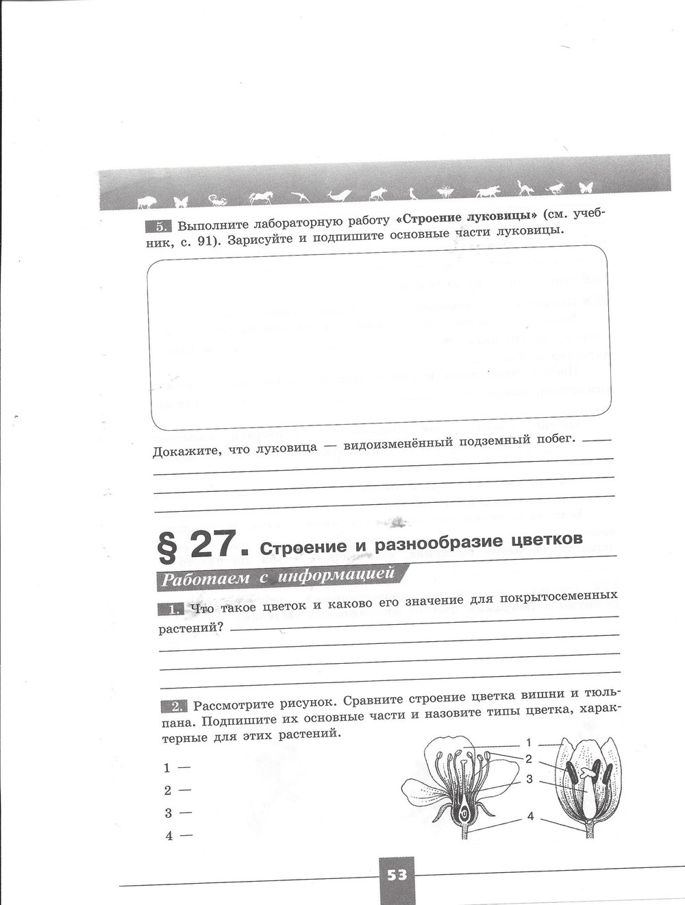 Рабочая тетрадь. Серия линия жизни, 7 класс, Пасечник В.В., Швецов Г.Г., 2015, задание: стр. 53