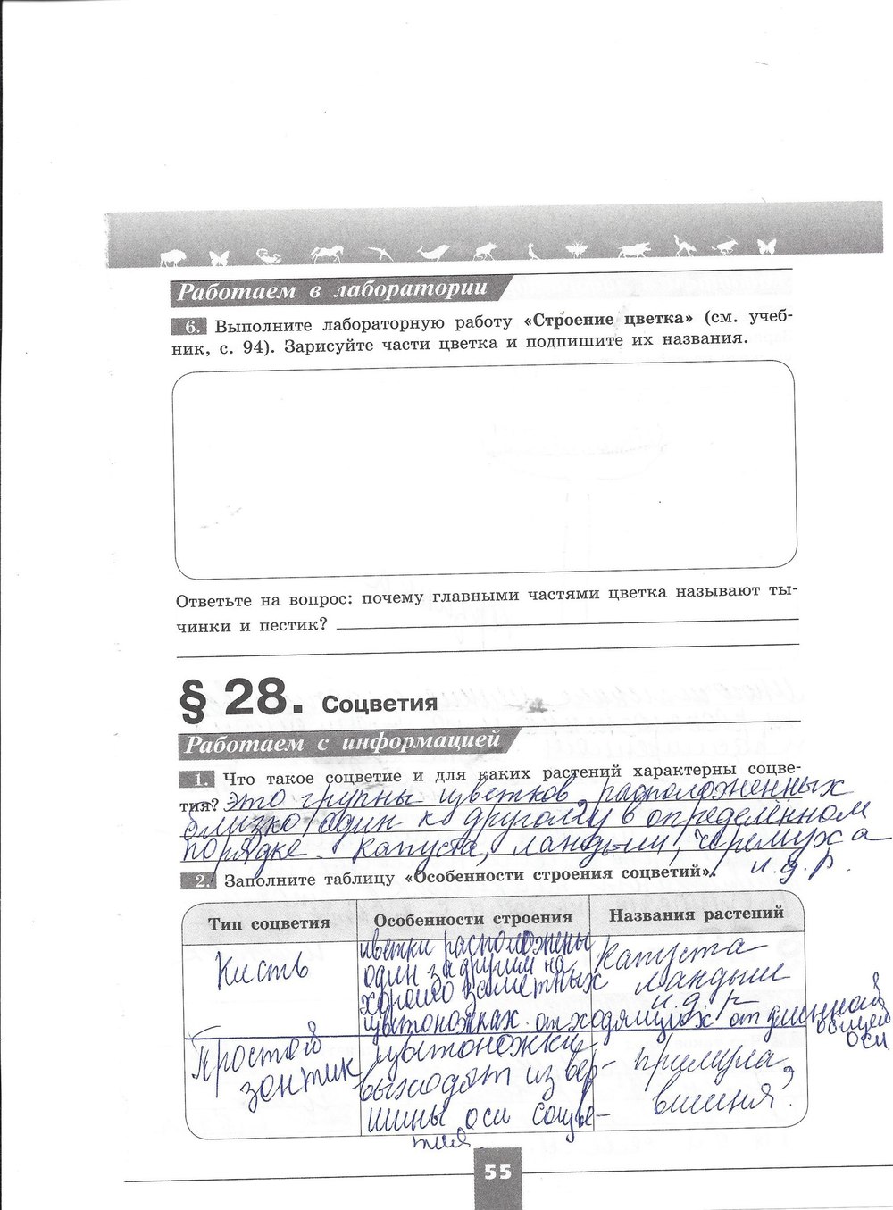 Рабочая тетрадь. Серия линия жизни, 7 класс, Пасечник В.В., Швецов Г.Г., 2015, задание: стр. 55