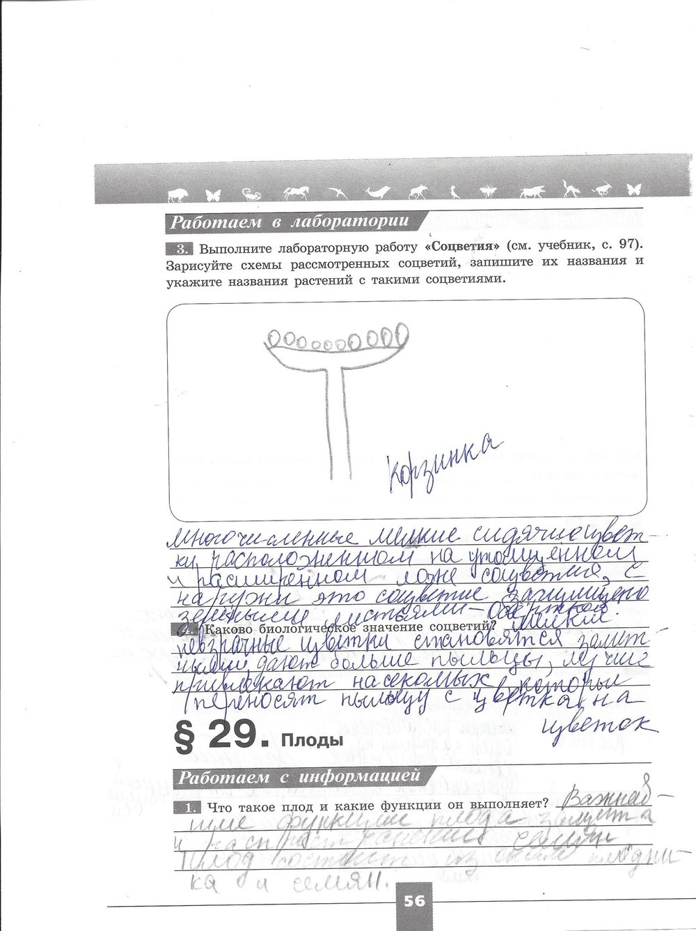 Рабочая тетрадь. Серия линия жизни, 7 класс, Пасечник В.В., Швецов Г.Г., 2015, задание: стр. 56