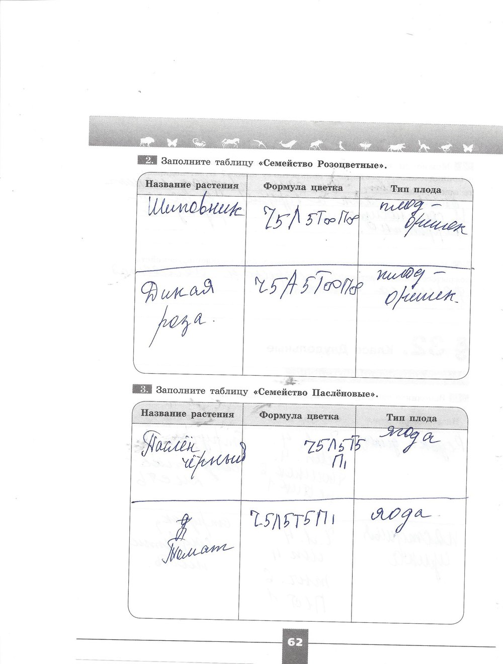 Рабочая тетрадь. Серия линия жизни, 7 класс, Пасечник В.В., Швецов Г.Г., 2015, задание: стр. 62