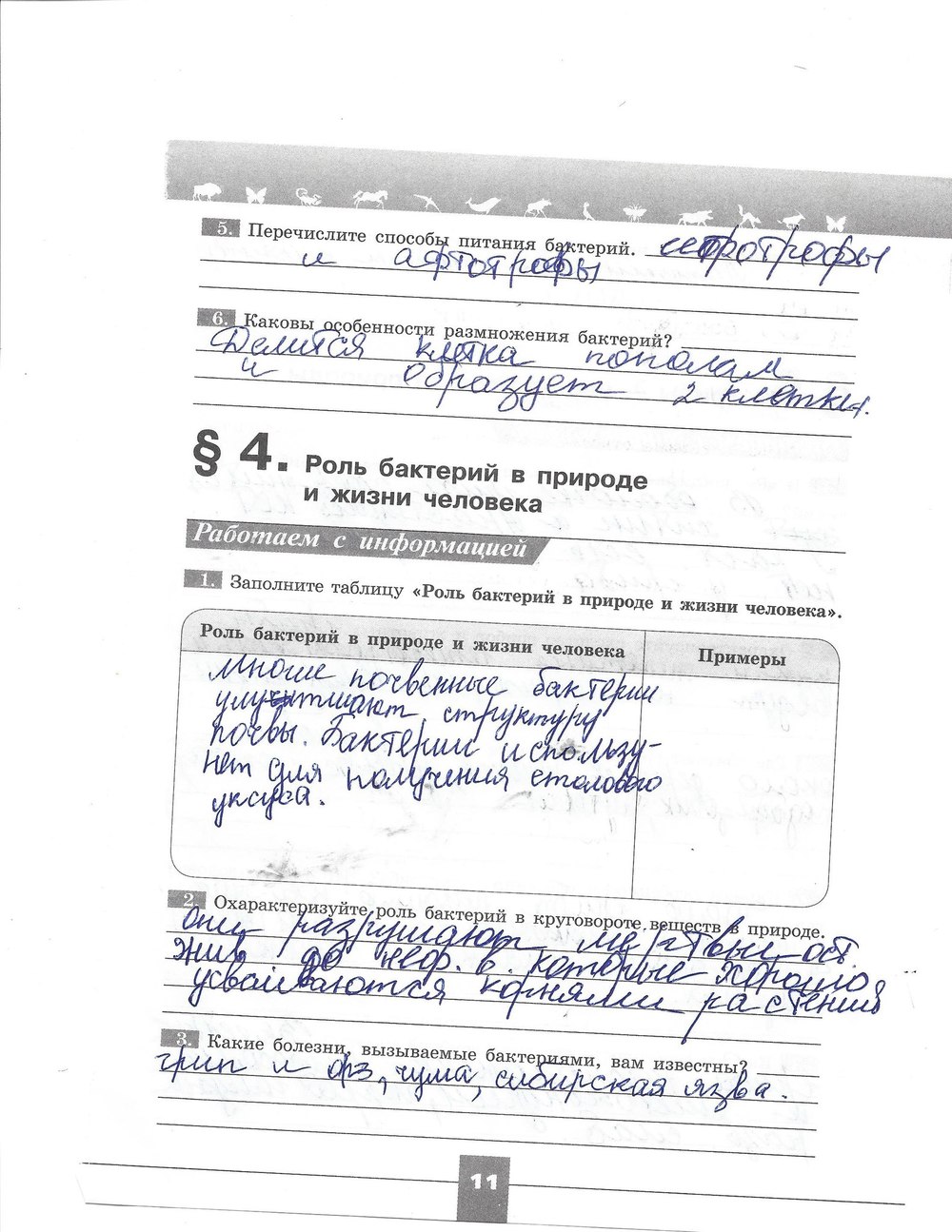 Рабочая тетрадь. Серия линия жизни, 7 класс, Пасечник В.В., Швецов Г.Г., 2015, задание: стр. 11