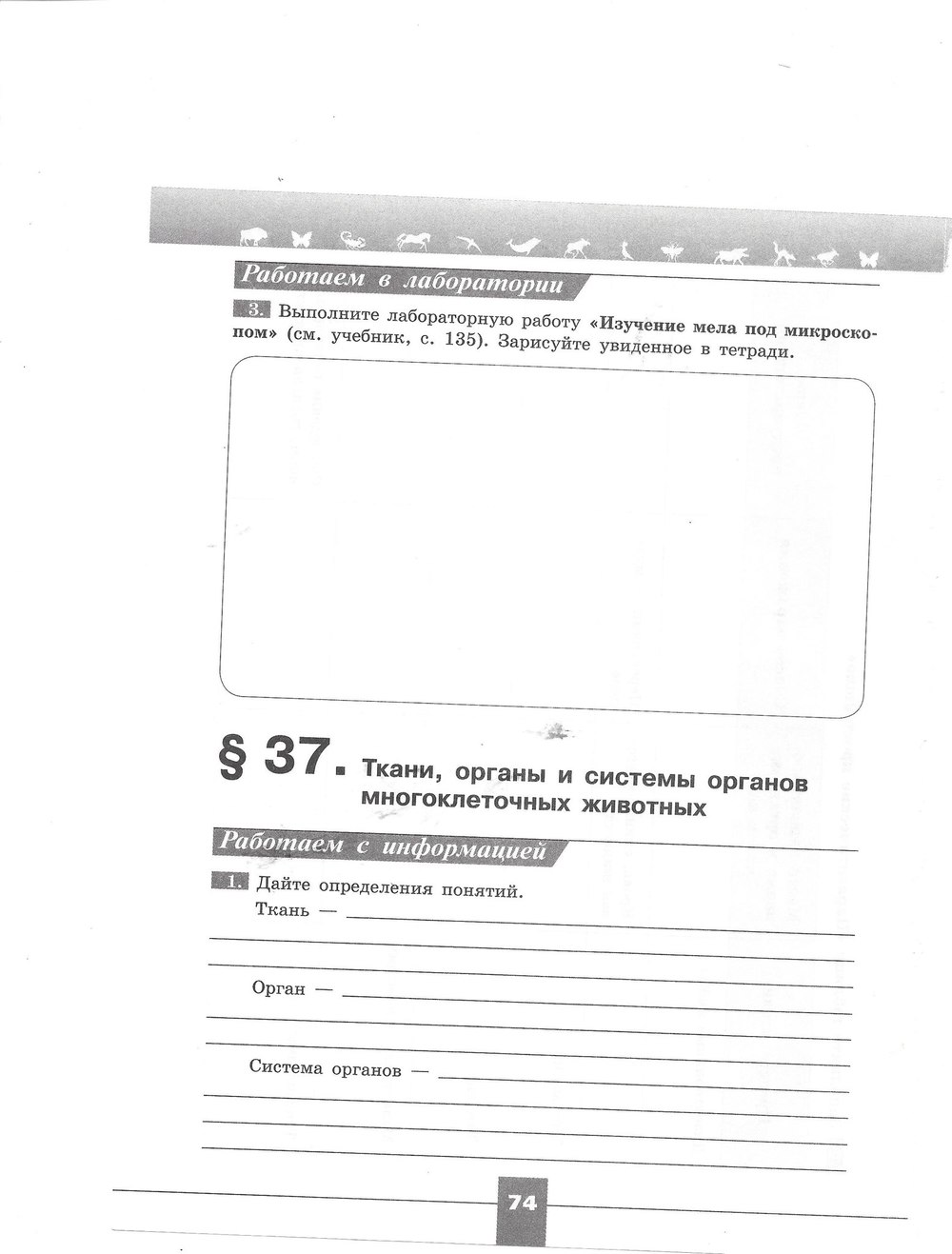 Рабочая тетрадь. Серия линия жизни, 7 класс, Пасечник В.В., Швецов Г.Г., 2015, задание: стр. 74