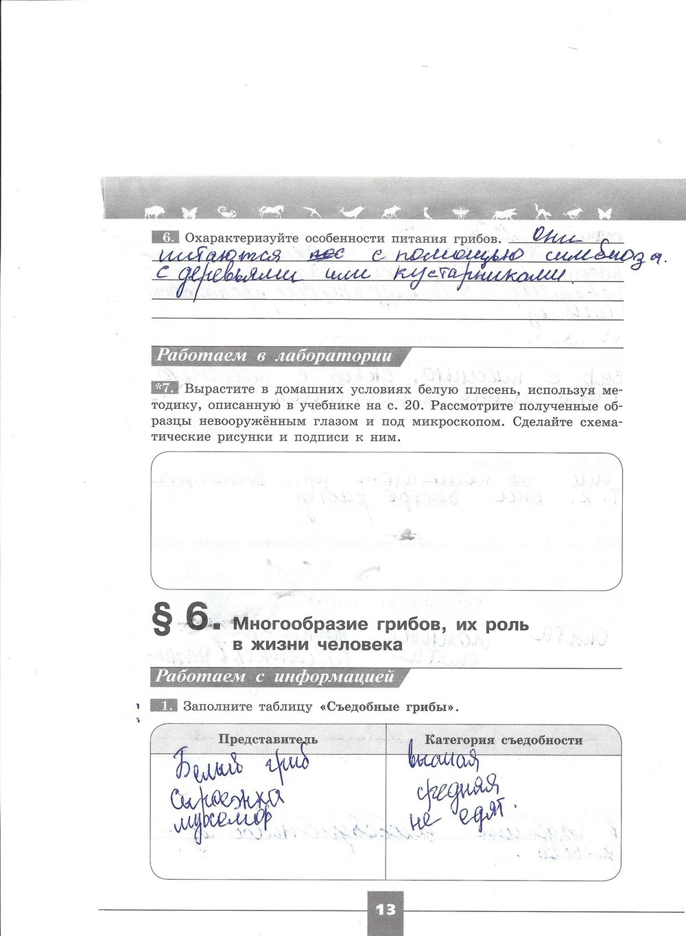 Рабочая тетрадь. Серия линия жизни, 7 класс, Пасечник В.В., Швецов Г.Г., 2015, задание: стр. 13