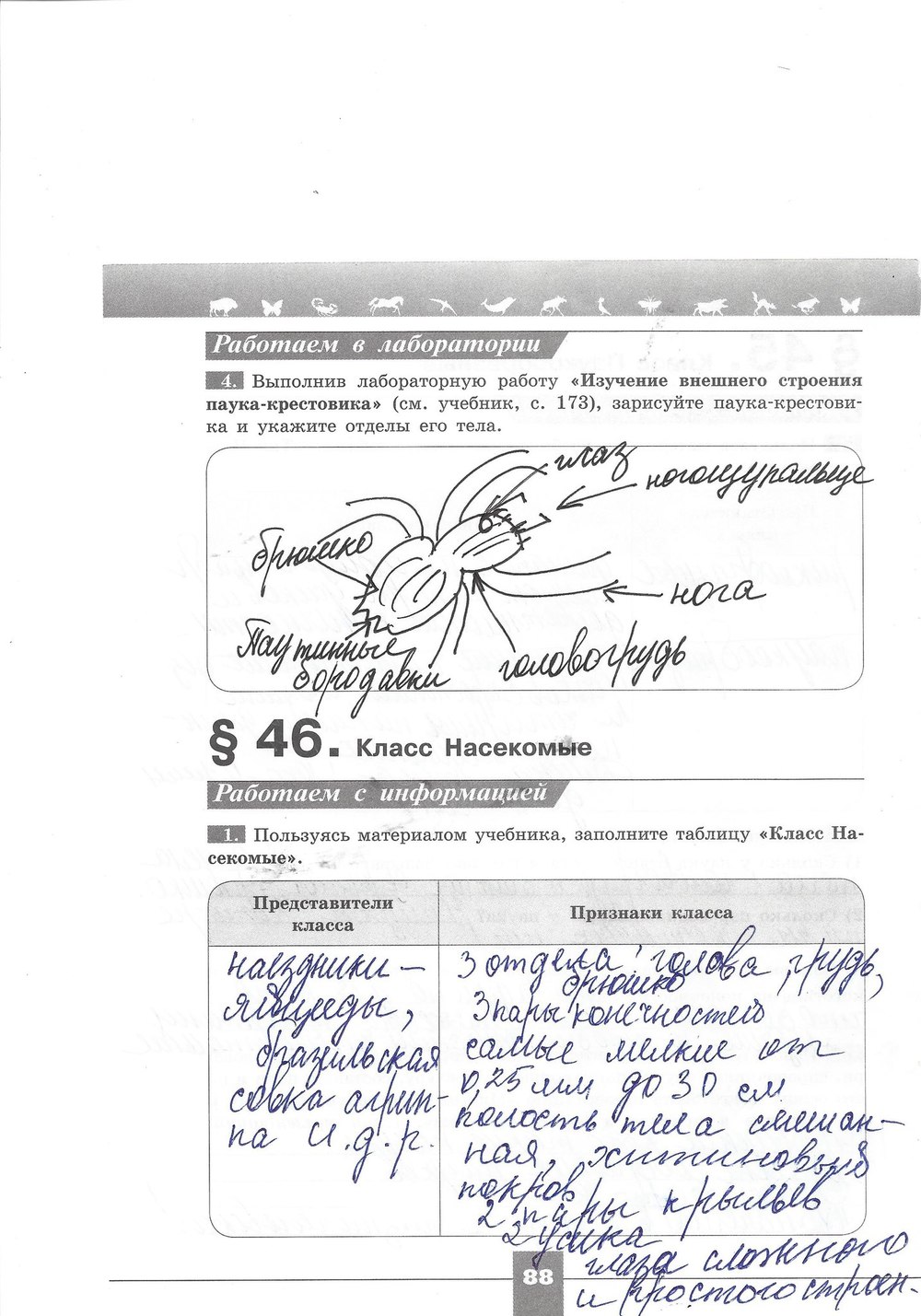 Рабочая тетрадь. Серия линия жизни, 7 класс, Пасечник В.В., Швецов Г.Г., 2015, задание: стр. 88