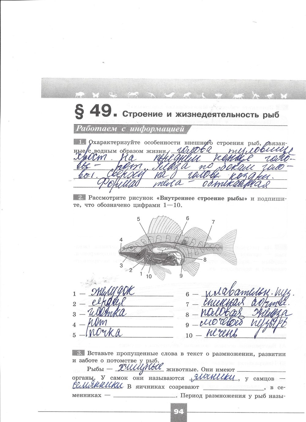 Рабочая тетрадь. Серия линия жизни, 7 класс, Пасечник В.В., Швецов Г.Г., 2015, задание: стр. 94