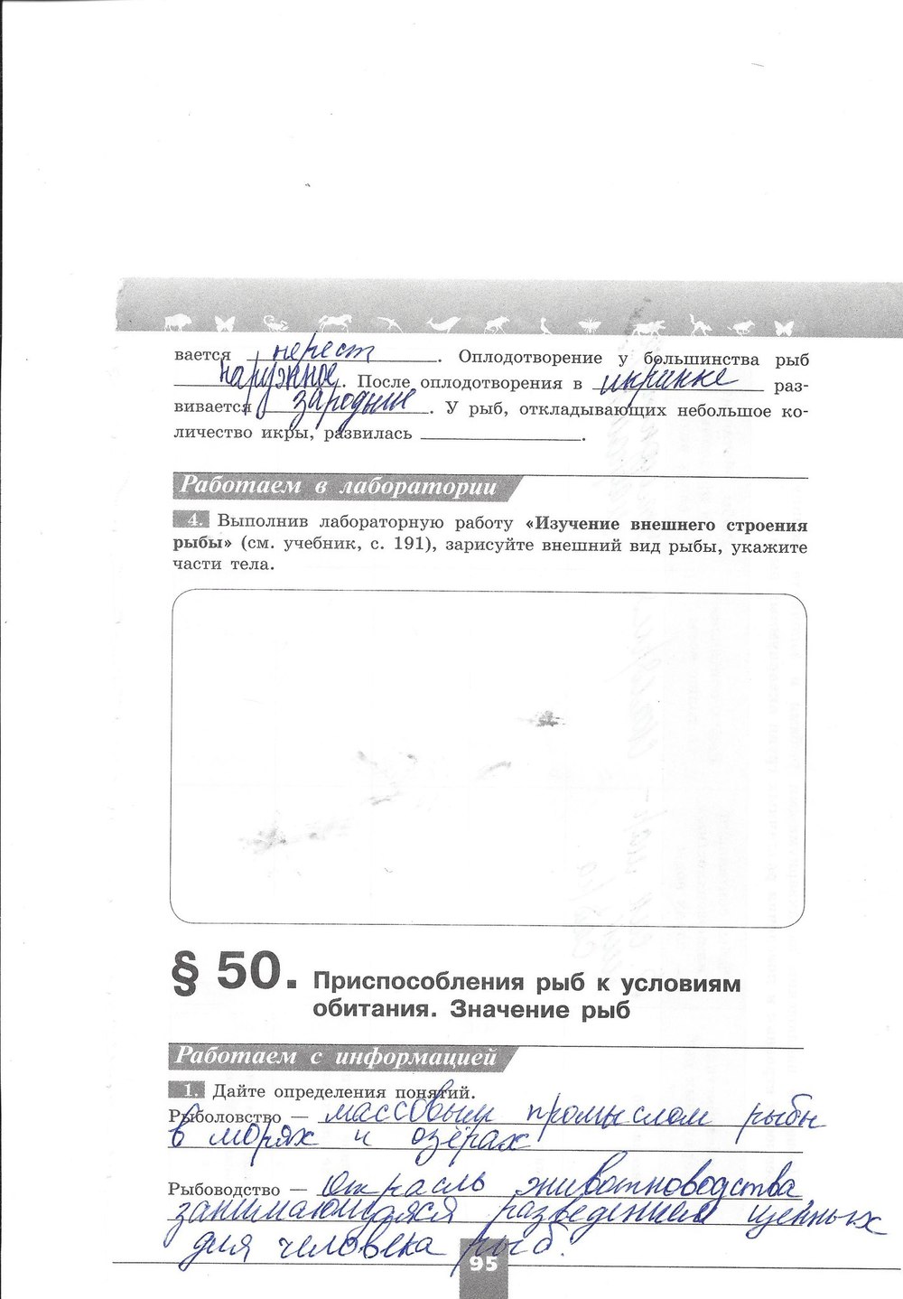 Рабочая тетрадь. Серия линия жизни, 7 класс, Пасечник В.В., Швецов Г.Г., 2015, задание: стр. 95