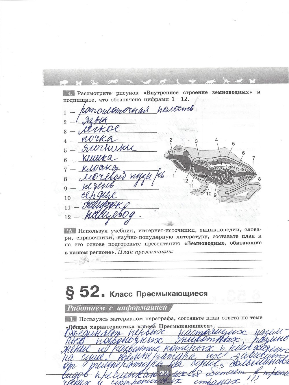 Рабочая тетрадь. Серия линия жизни, 7 класс, Пасечник В.В., Швецов Г.Г., 2015, задание: стр. 99