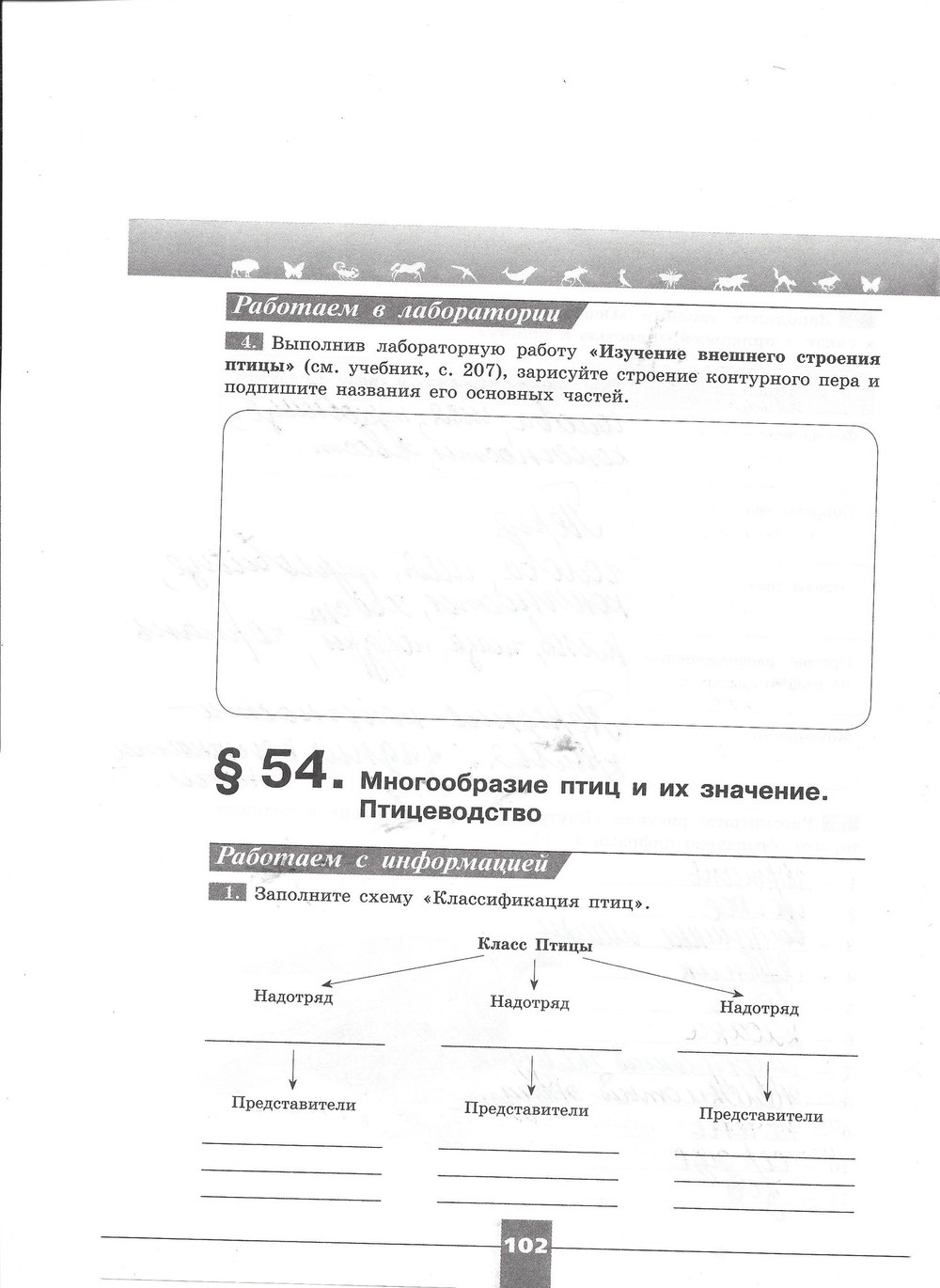 Рабочая тетрадь. Серия линия жизни, 7 класс, Пасечник В.В., Швецов Г.Г., 2015, задание: стр. 102