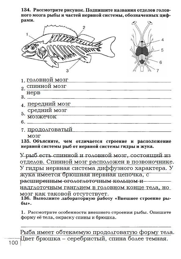 Тест по рыбам 8 класс